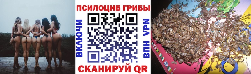 Псилоцибиновые грибы Magic Shrooms  Белогорск 